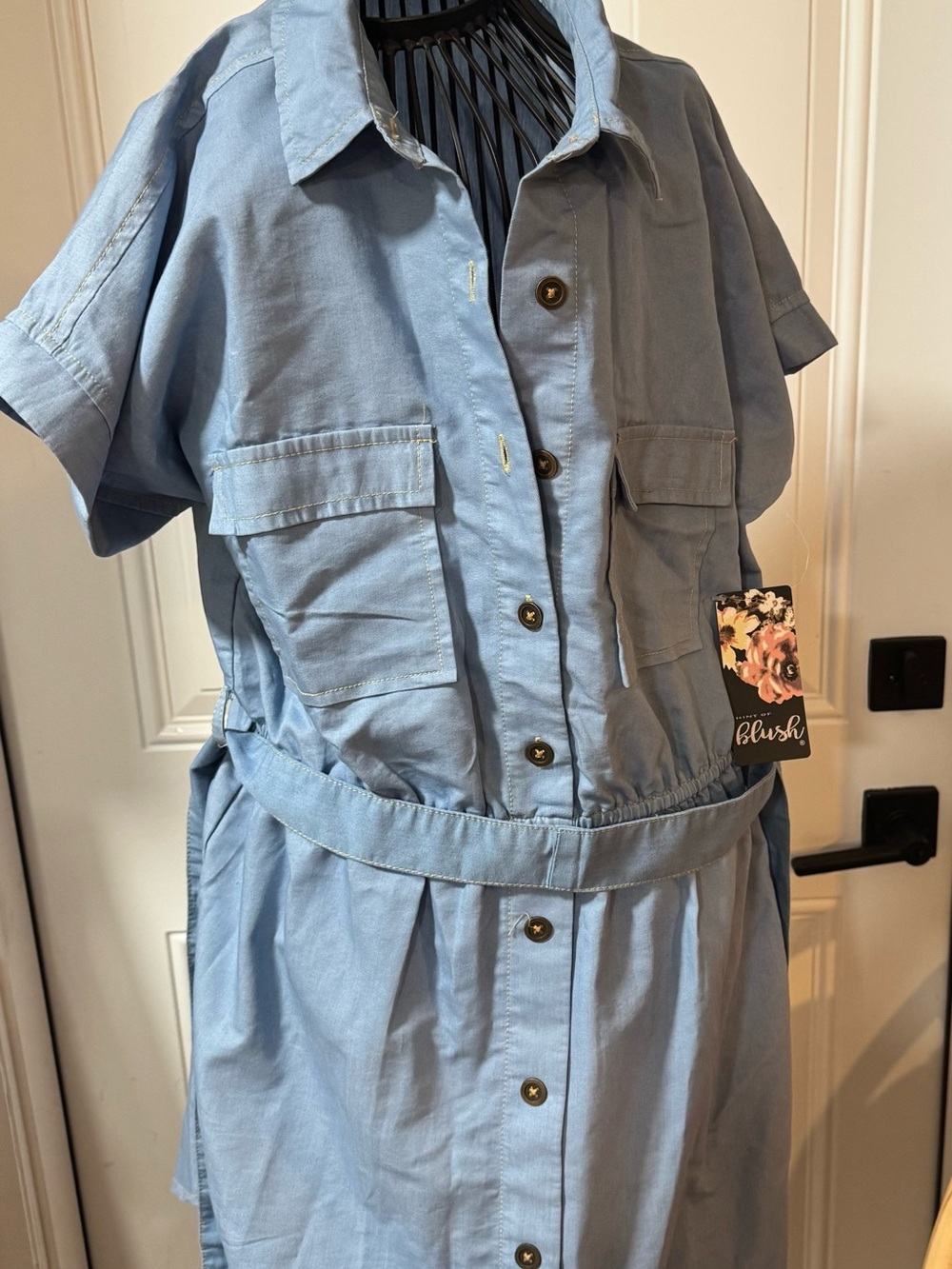Blush Light Blue Utility Button-Front Jumpsuit